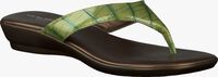 Groene RAPISARDI Slippers 9038 - medium