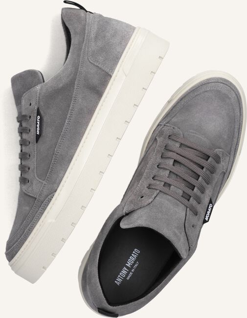 Grijze ANTONY MORATO Lage sneakers MMFW01538 Grijze ANTONY MORATO Lage sneakers MMFW01538 - large