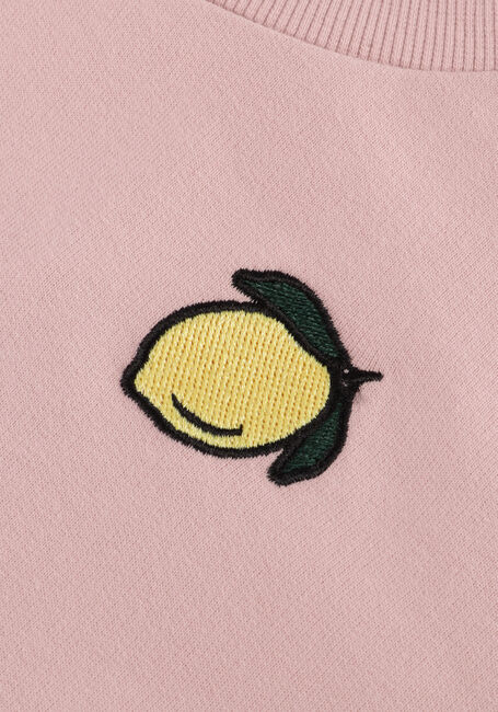 THE NEW Pull TNSTSAPPHIRE en rose - large