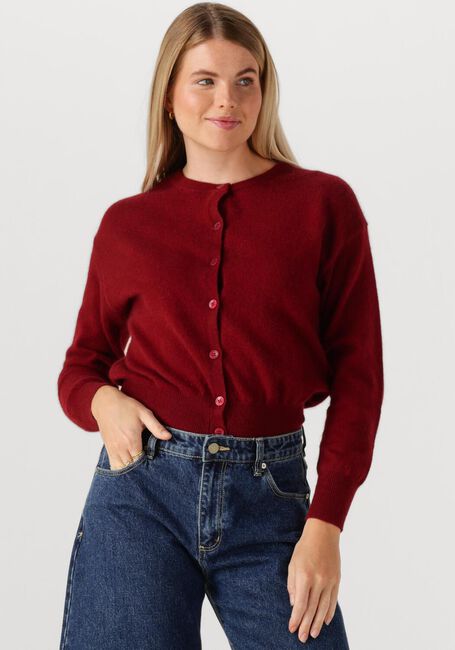 TWNS Gilet MONTROSE Bordeaux - large