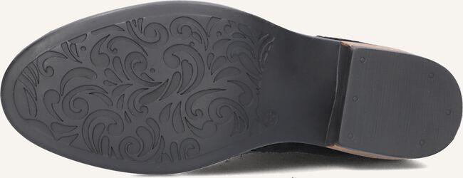 Zwarte HIP  H1738 Zwarte HIP  H1738 - large