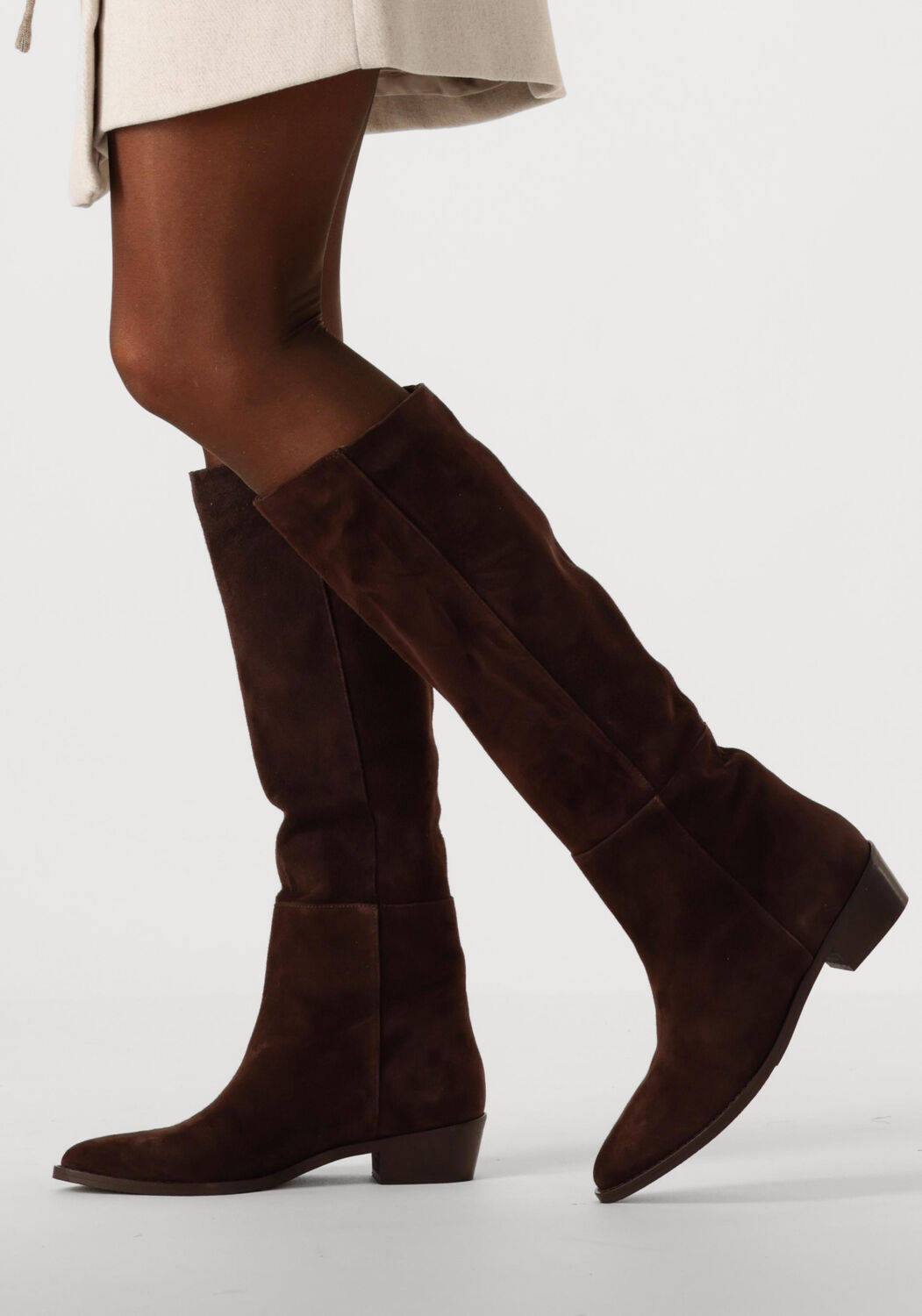 Bruine NOTRE-V  394492 - large