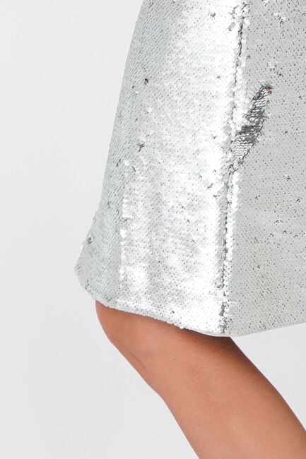 EST'SEVEN YOUSRA SKIRT Jupes en argent - large