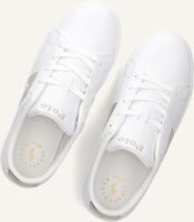 Witte POLO RALPH LAUREN Sneakers FRAZIER Witte POLO RALPH LAUREN Sneakers FRAZIER - medium