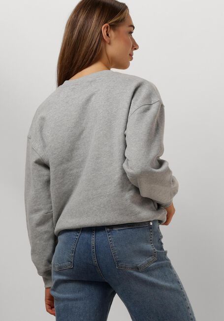Grijze JANICE Sweater ANDY - large