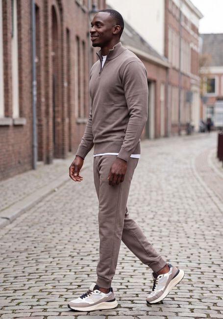 GENTI TURTLE ZIP LS Pulls & Gilets en taupe - large