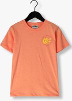 AMMEHOELA T-shirt AM.ZOE.67 Corail - medium