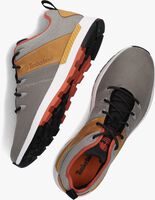 Grijze TIMBERLAND Lage sneakers SPRINT TREKKER LOW FABRIC - medium