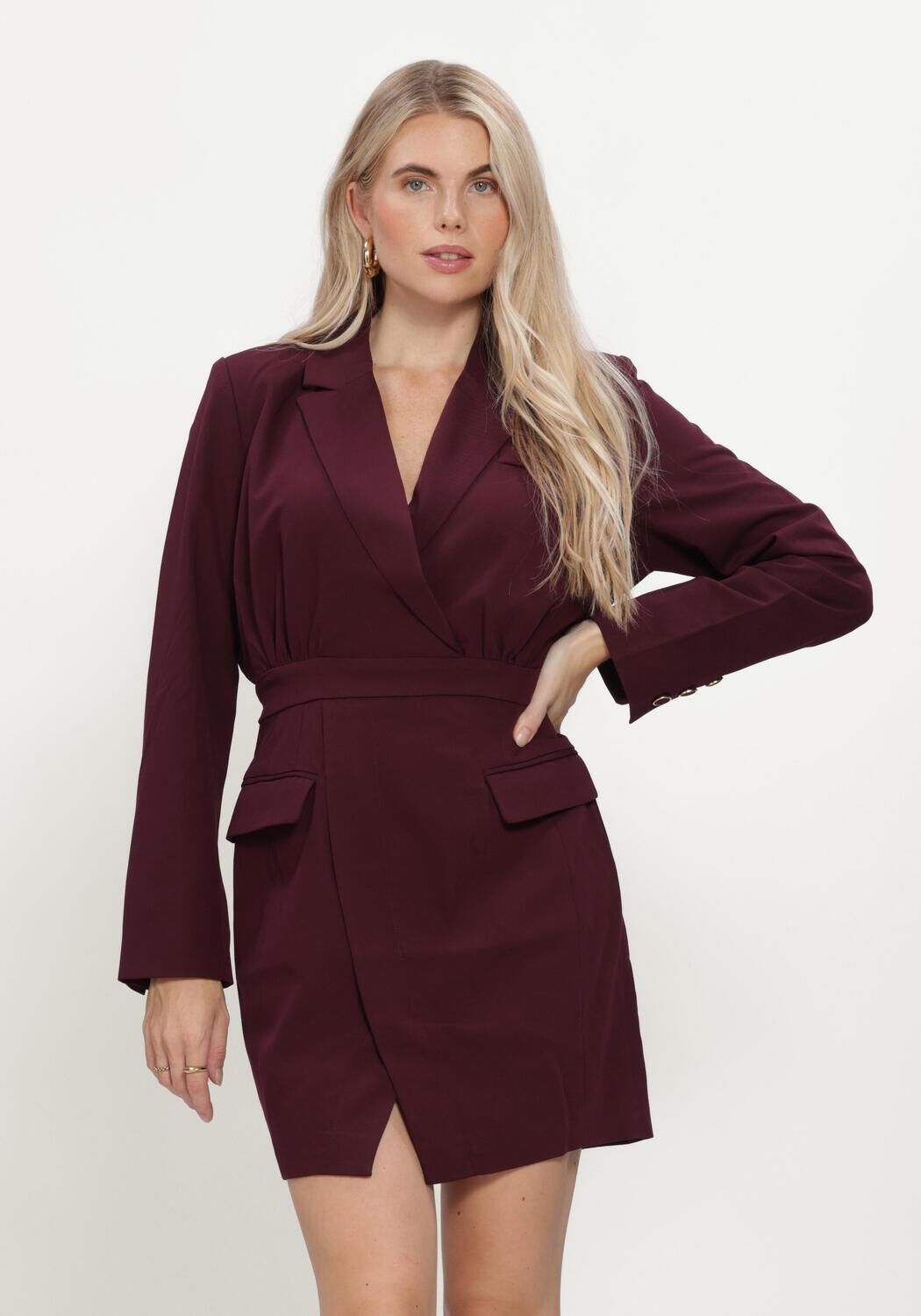 Bordeaux FREEBIRD Mini jurk BLAZORA - large