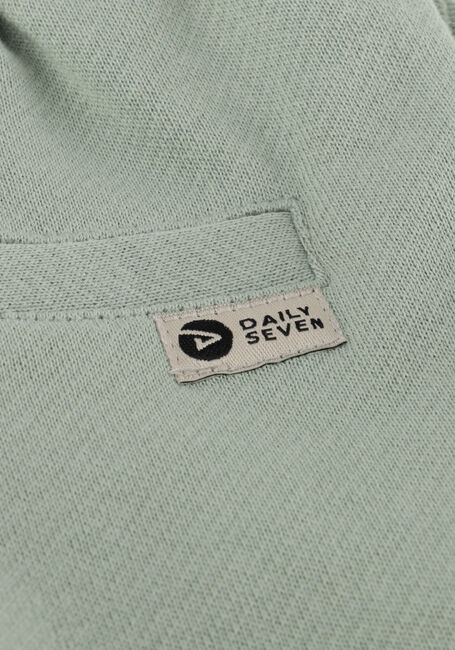 DAILY7 Pantalon courte SHORTS STRUCTURE en vert - large