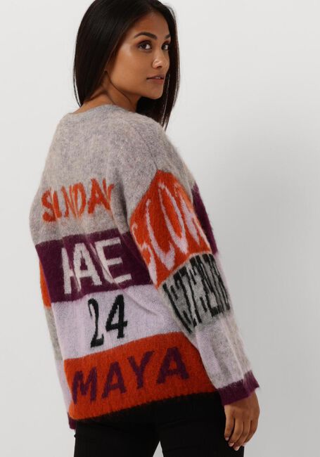 Grijze AMAYA AMSTERDAM Trui AMAYA RACE SWEATER - large
