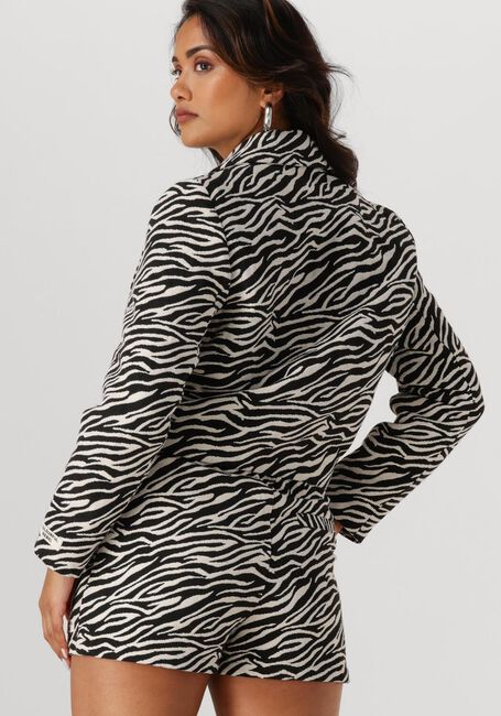 COLOURFUL REBEL Blazer DENTE ZEBRA JACQUARD BLAZER en gris - large