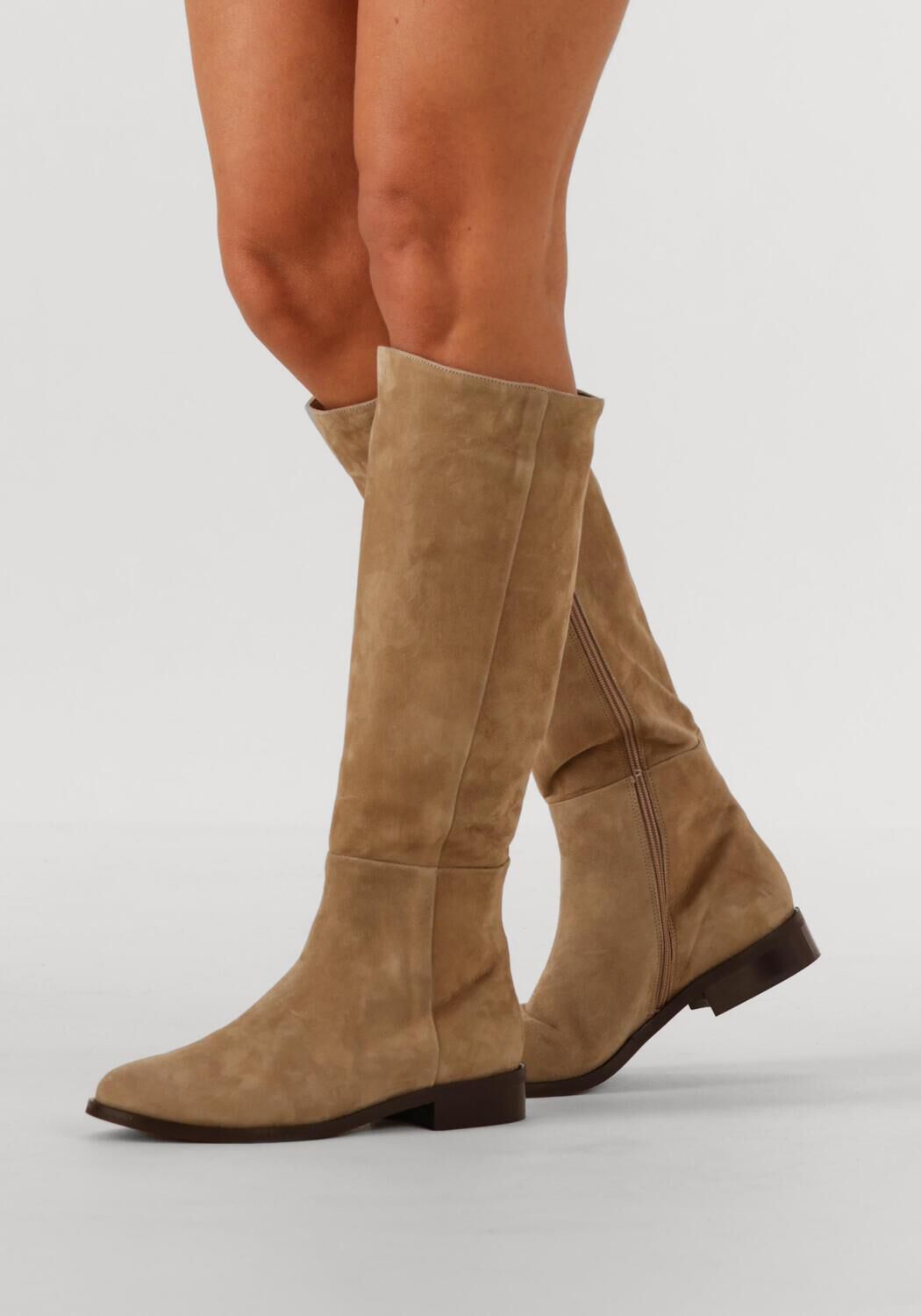 NOTRE-V Bottes hautes 3496 en taupe - large