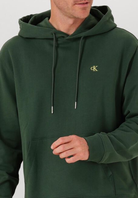 CALVIN KLEIN Chandail LS EU 350TERRY MONOGRAM HOODIE Vert foncé - large