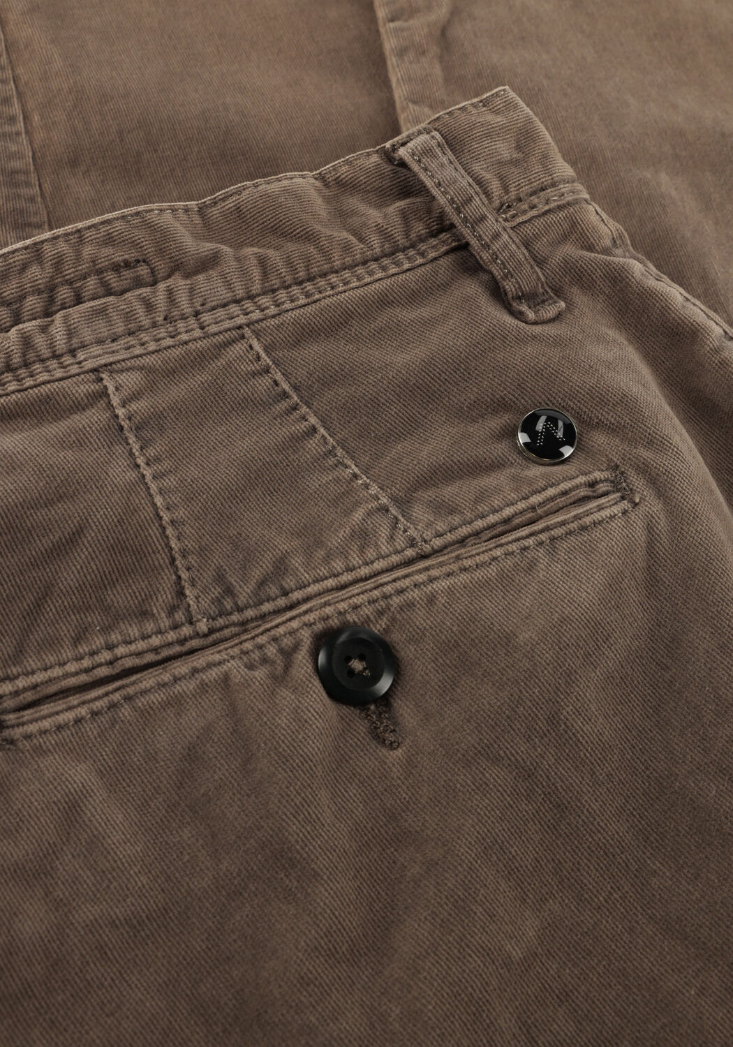 ALBERTO Chino 6287 1828 ROB en taupe - large