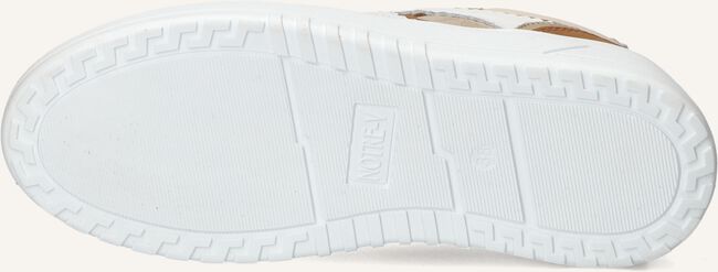 NOTRE-V ANEMONE-63 NOTRE-V ANEMONE-63 - large