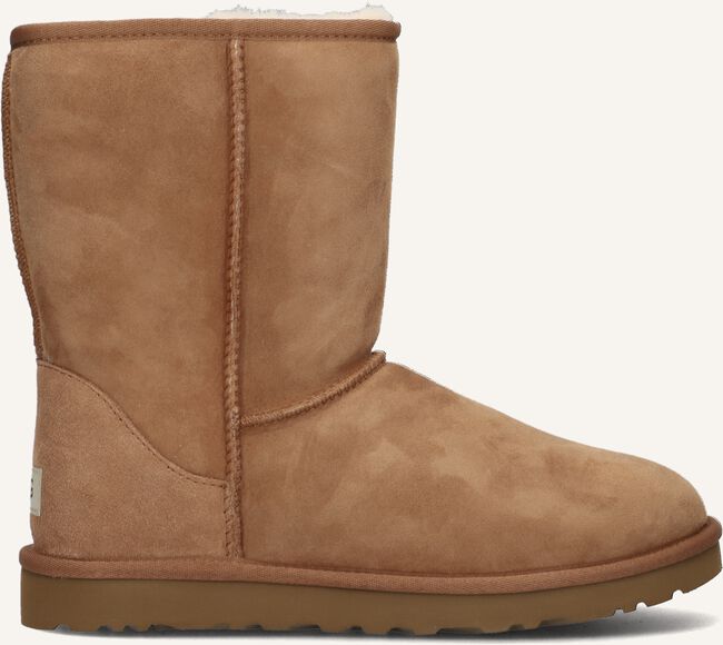 Camel UGG  M CLASSIC SHORT Camel UGG  M CLASSIC SHORT - large