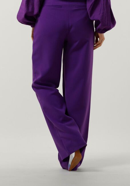 FREEBIRD Pantalon WV-CLEAN-PES-23-1 en violet - large