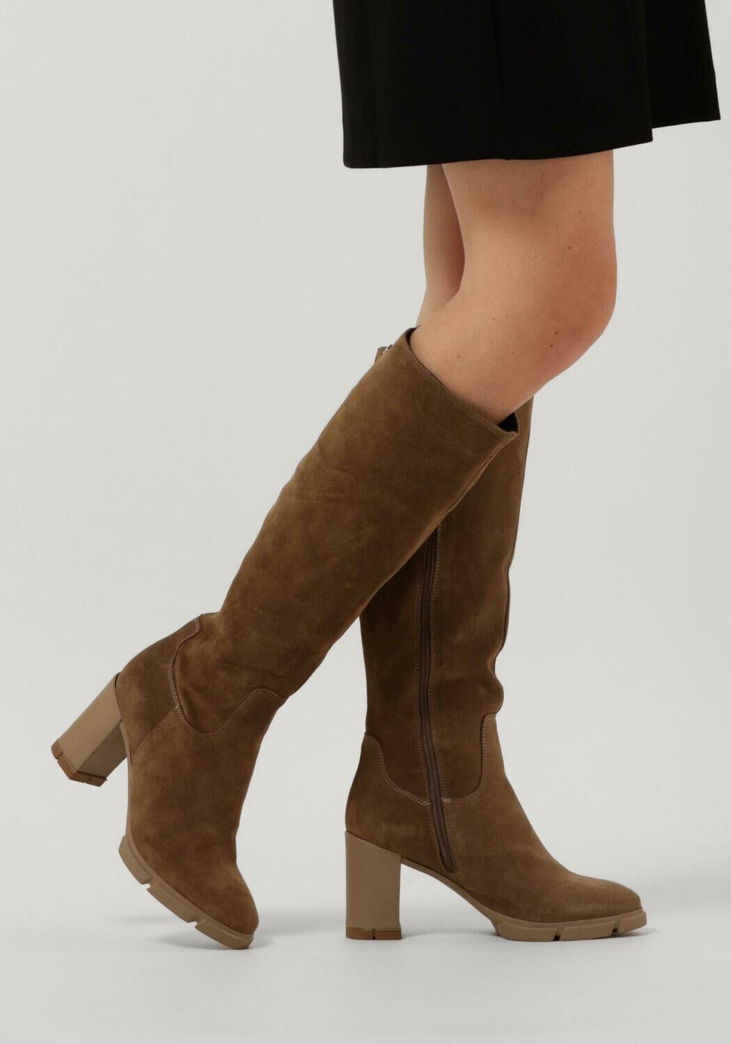 Schoenen notre v outlet