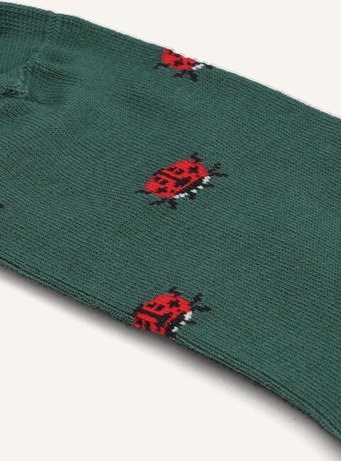 Groene ALFREDO GONZALES Beenmode LADY BUGS Groene ALFREDO GONZALES Beenmode LADY BUGS - large