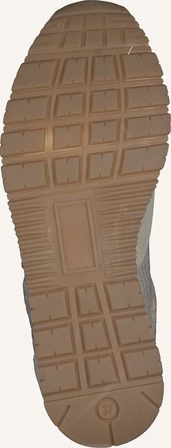 Beige OMODA Lage sneakers CASEY Beige OMODA Lage sneakers CASEY - large