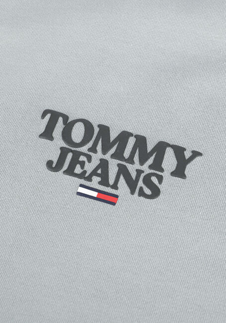 TOMMY JEANS TJM TONAL ENTRY GRAPHIC CREW - large