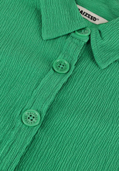 RAIZZED TELSA Blouses en vert - large