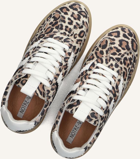 NOTRE-V ANEMONE-63 NOTRE-V ANEMONE-63 - large