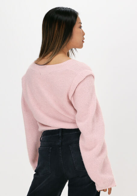 Roze BRUUNS BAZAAR Trui PARISA CHERRY - large