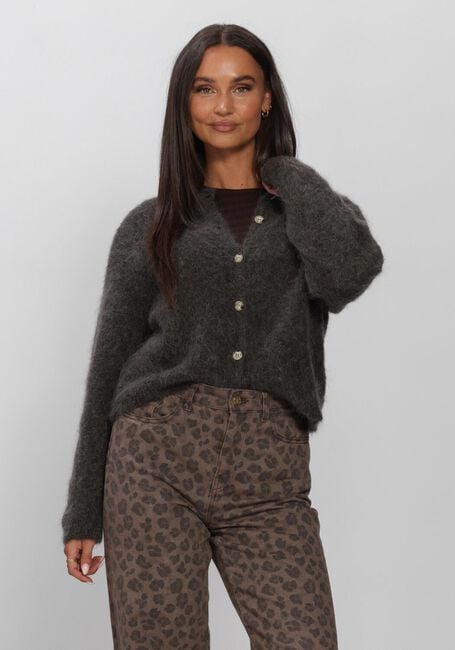 BY-BAR Trui VASILE CARDIGAN - large
