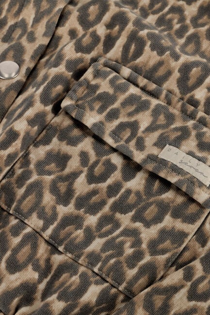 Beige DAILY7 Jack SWEAT JACKET PRINT - large