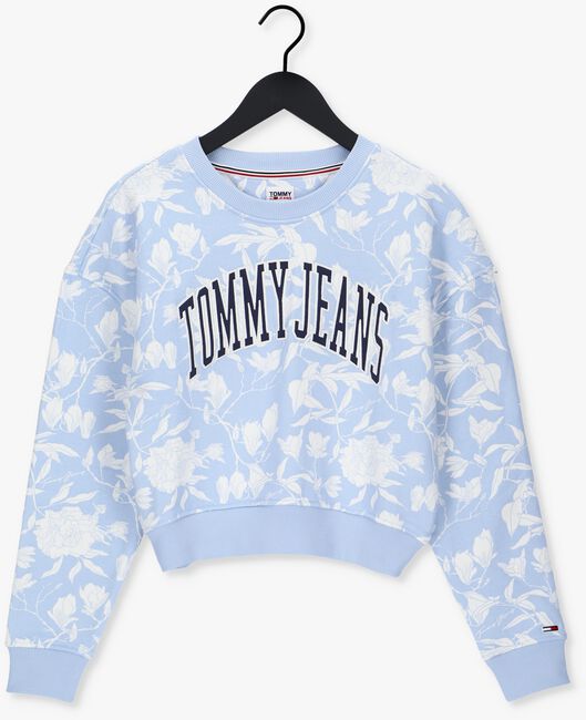 TOMMY JEANS Pull TJW AOP CREW Bleu clair - large