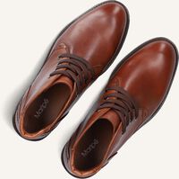 Bruine MARIPE  PRISCILLA Bruine MARIPE  PRISCILLA - medium