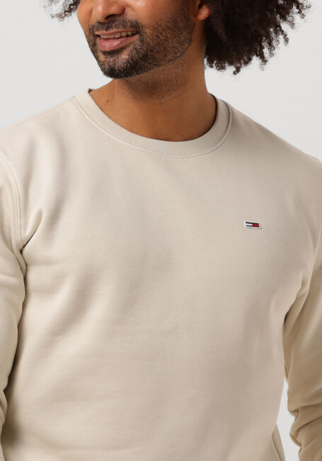 TOMMY JEANS Chandail TJM REGULAR FLEECE C NECK en beige - large