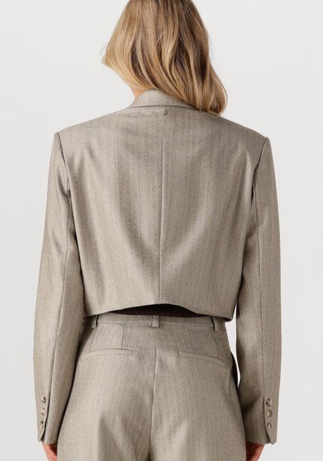 Lichtgrijze IBANA Blazer JELAH PINESTRIPE - large
