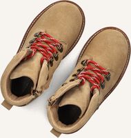 Camel DU LOUA  LOUEN Camel DU LOUA  LOUEN - medium