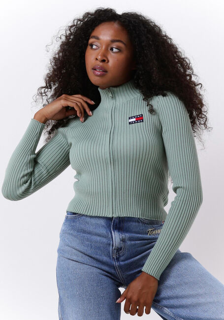 TOMMY JEANS Gilet TJW BADGE ZIP TRHU SWEATER en vert - large