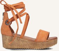 Oranje AYANA Sandalen 722007 Oranje AYANA Sandalen 722007 - medium