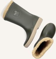 Groene IGOR  SPLASH DK BORREGUITO Groene IGOR  SPLASH DK BORREGUITO - medium