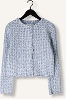 FABIENNE CHAPOT Gilet JOSH CARDIGAN en bleu FABIENNE CHAPOT Gilet JOSH CARDIGAN en bleu - medium