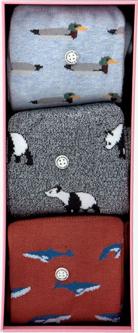 ALFREDO GONZALES ANIMALS BOX Chaussettes en multicolore - large