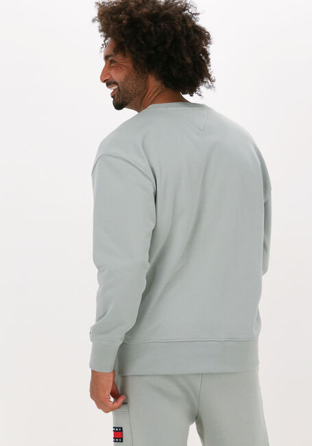 TOMMY JEANS Chandail TJM TONAL ENTRY GRAPHIC CREW Olive - large