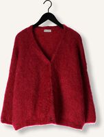 AMAYA AMSTERDAM Pull ROOS Bordeaux AMAYA AMSTERDAM Pull ROOS Bordeaux - medium