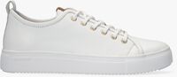 white BLACKSTONE shoe PL97  - medium
