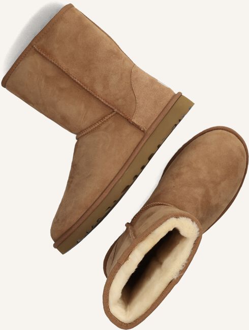 Camel UGG  M CLASSIC SHORT Camel UGG  M CLASSIC SHORT - large
