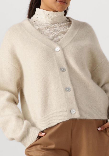 NUKUS Pull MAGDA CARDIGAN en beige - large