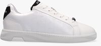 Witte REHAB Lage sneakers ZEKE CROCO - medium