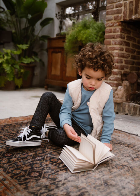 Grijze DAILY7 Cargobroeken CARGO SMALL CHECK PANTS Grijze DAILY7 Cargobroeken CARGO SMALL CHECK PANTS - large