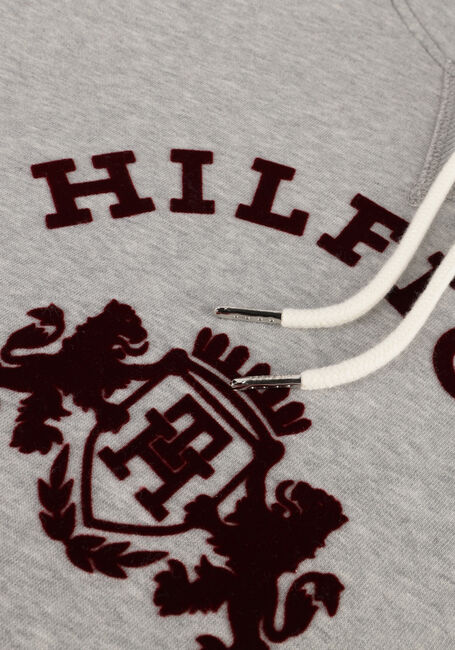 Lichtgrijze TOMMY HILFIGER Sweater REG VARSITY FLOCK HOODIE Lichtgrijze TOMMY HILFIGER Sweater REG VARSITY FLOCK HOODIE - large