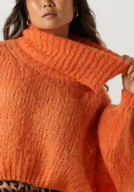 Oranje AMERICAN DREAMS Coltrui PEPPER ROLL NECK CROPPED - large